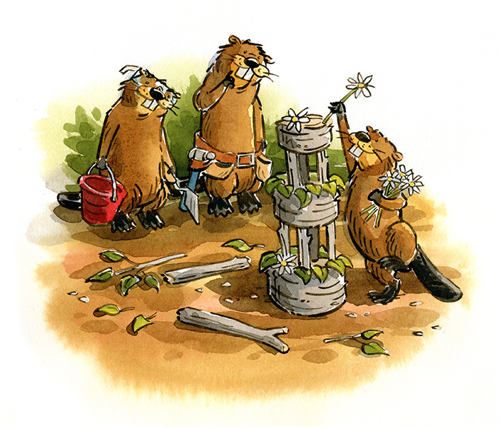 beavers